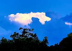 17: AlanToplitz_2025-45