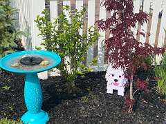 21: BerniceBailine_2025-13