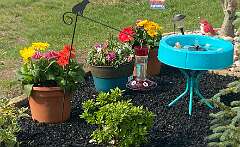 22: BerniceBailine_2025-14