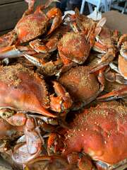 24: BerniceBailine_2025-16