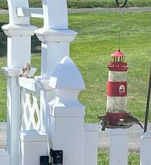 28: BerniceBailine_2025-20