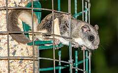 32: BillKirms_2025-132