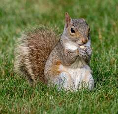 42: BillKirms_2025-142