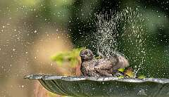 46: BillKirms_2025-146