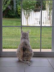 49: BillKirms_2025-149