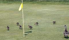 50: BillKirms_2025-150