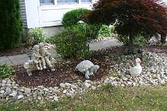 65: DonManfria_2025-131