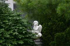 70: DonManfria_2025-136