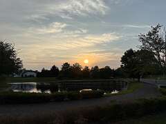 75: DonManfria_2025-141