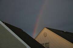 80: DonManfria_2025-146