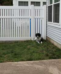 81: DonManfria_2025-147