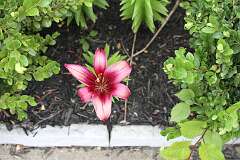 82: DonManfria_2025-148