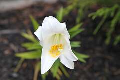 83: DonManfria_2025-149