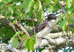 94: MarkShelly_2025-150