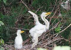 95: MarkShelly_2025-151