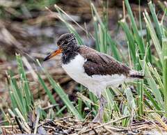 96: MarkShelly_2025-152