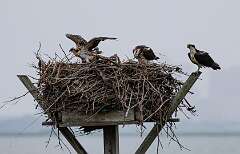 100: MarkShelly_2025-156