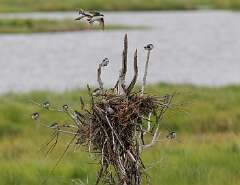 101: MarkShelly_2025-157