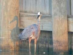 106: MikeGlass_2025-1