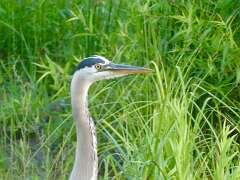 108: MikeGlass_2025-3