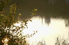 109: MikeGlass_2025-4