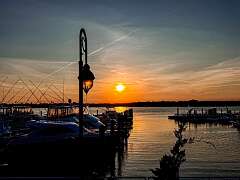 169: AlanToplitz_2025-64