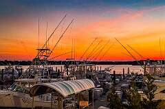 226: AlanToplitz_2025-69