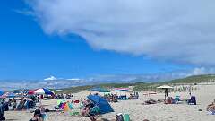 225: AnnaSheldon_2025-2