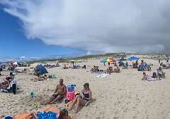 197: AnnaSheldon_2025-4