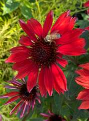 172: BerniceBailine_2025-24