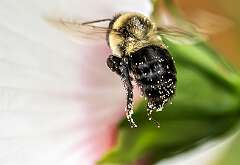 220: BillKirms_2025-157