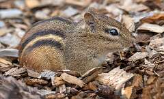 75: BillKirms_2025-158