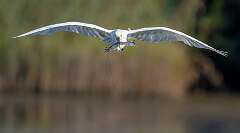 209: BillKirms_2025-160