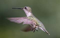 95: BillKirms_2025-165