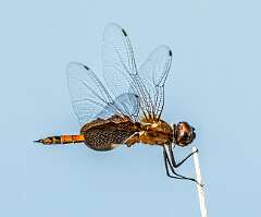 217: BillKirms_2025-166