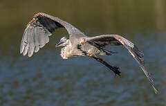 93: BillKirms_2025-167