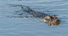 40: BillKirms_2025-168