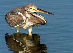 214: BillKirms_2025-169