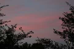 86: DonManfria_2025-154