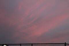 198: DonManfria_2025-155