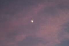 116: DonManfria_2025-156