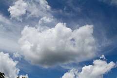 208: DonManfria_2025-161