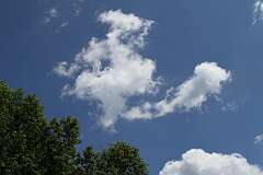 101: DonManfria_2025-162