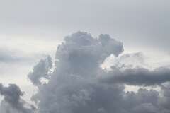 178: DonManfria_2025-168