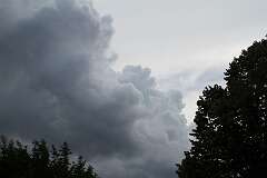 146: DonManfria_2025-169