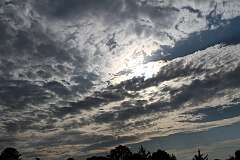 114: DonManfria_2025-172