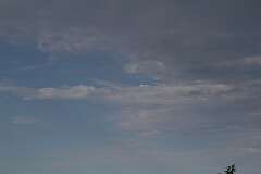 84: DonManfria_2025-173