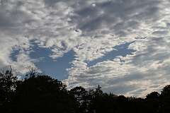 52: DonManfria_2025-174