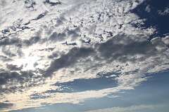 174: DonManfria_2025-176