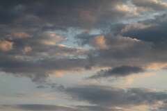 193: DonManfria_2025-178